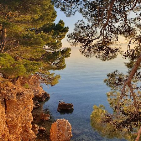 Apartment Miskovic Makarska Dış mekan fotoğraf