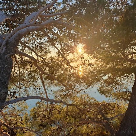 Apartment Miskovic Makarska Dış mekan fotoğraf