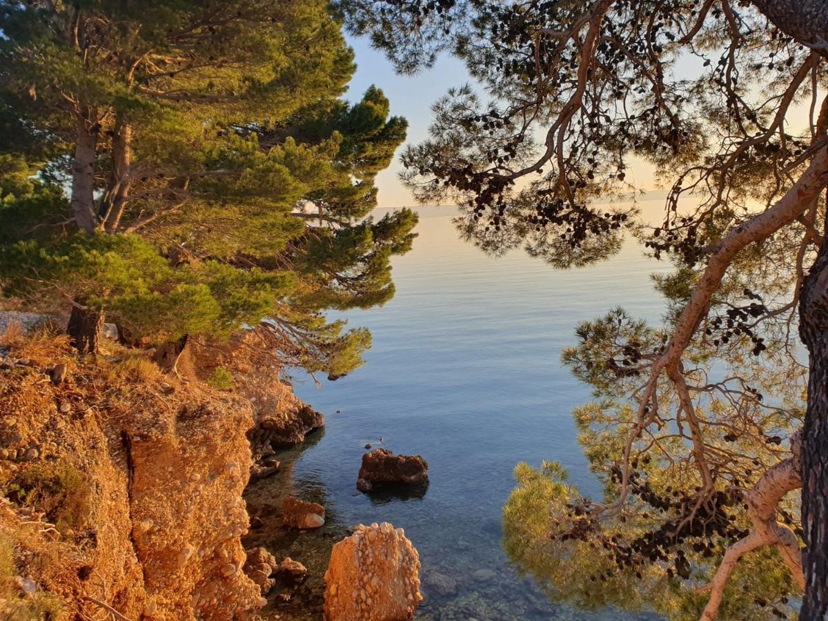 Apartment Miskovic Makarska Dış mekan fotoğraf