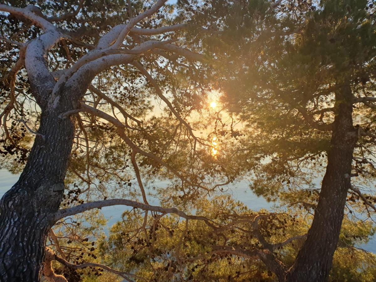 Apartment Miskovic Makarska Dış mekan fotoğraf