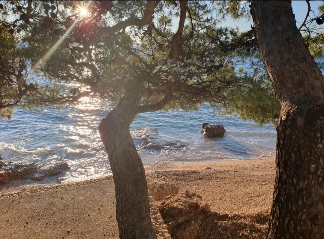 Apartment Miskovic Makarska Dış mekan fotoğraf