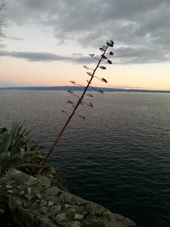 Apartment Miskovic Makarska Dış mekan fotoğraf